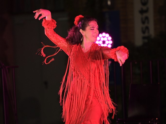 Bild Flamenco "Nivel Medio"